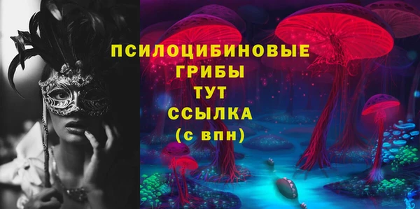 дурь Покачи