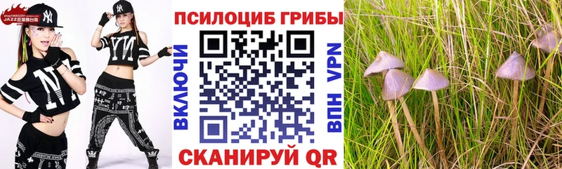 mega ссылка Вичуга Псилоцибиновые грибы мицелий